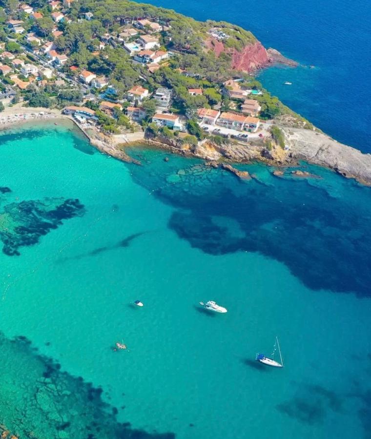 Confortable T2 Vue Mer Avec Terrasse Amenagee Et Parking Prive, Plage Et Port A Pied 滨海萨纳里 外观 照片